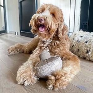 Guu, jouet occupation chien champignon m