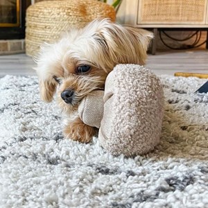 Guu, jouet occupation chien champignon s