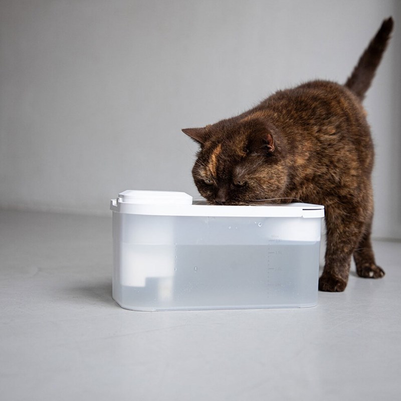 Hoopo - Akoi, fontaine à eau sans fil uvc blanc