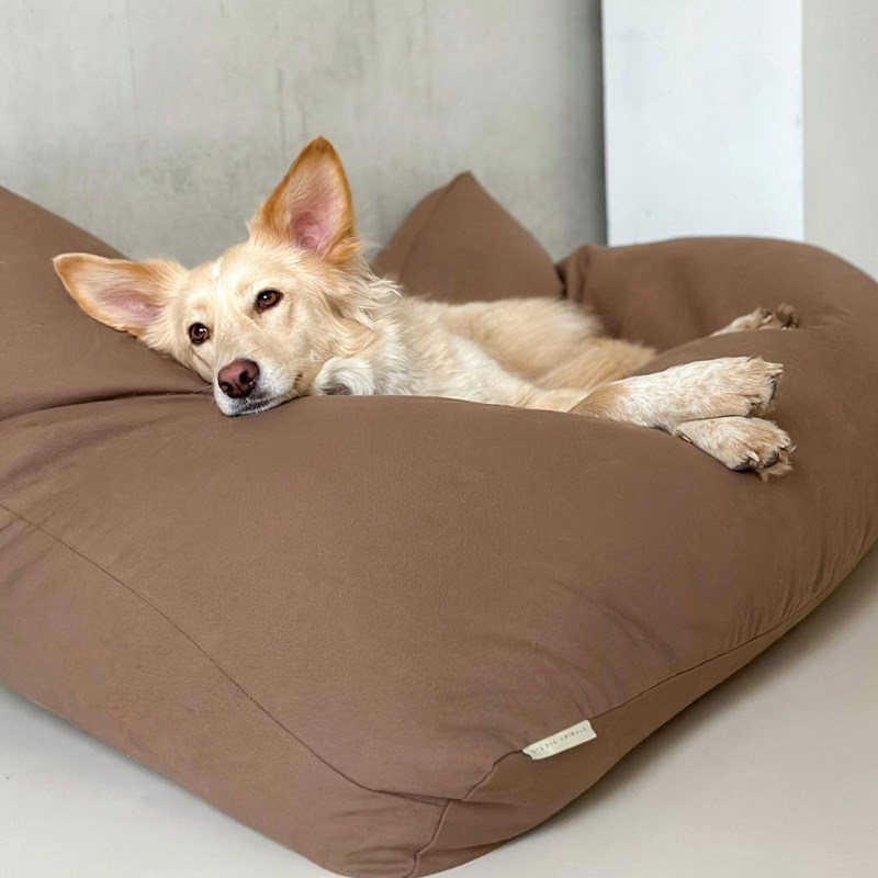 Studio Animaux - Star, coussin chien déhoussable mocca l