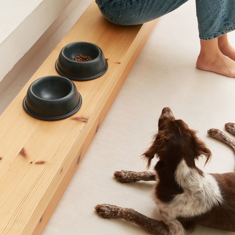 Cafide - Comer, gamelle chien en céramique gris m