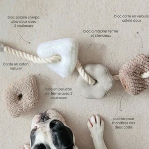 Bloocs, jouet chien set 4 blocs à mâcher