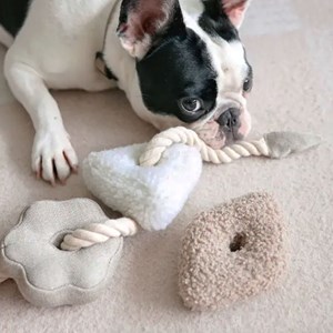 Bloocs, jouet chien set 4 blocs à mâcher