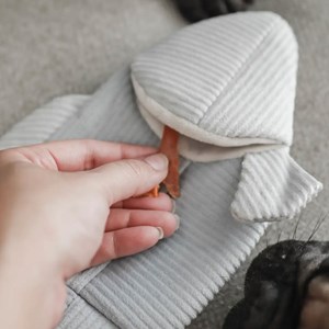 Trouut, jouet de fouille pour chien