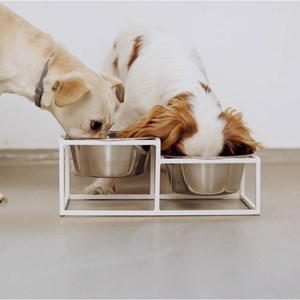 Kum, gamelle surélevéee en métal blanc s