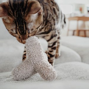 K breuuer, jouet avec herbe à chat sable