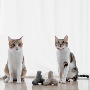 K breuuer, jouet avec herbe à chat sable