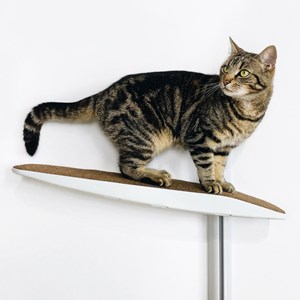 Moon, arbre chat mural métal blanc beige