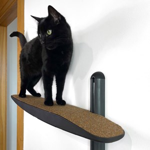 Moon, arbre à chat mural en métal noir