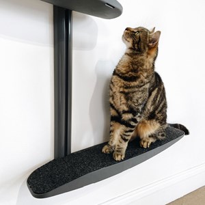 Moon +, arbre à chat mural 4 métal gris