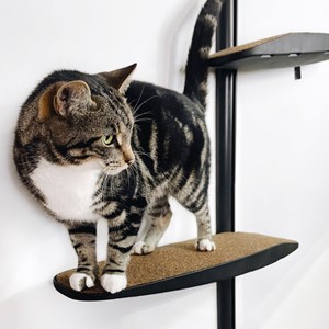 Moon +, arbre à chat mural 4 métal noir