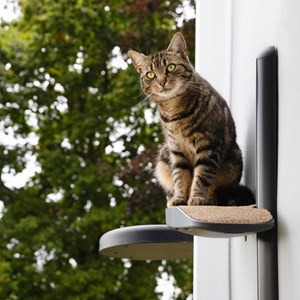 Cloud, etagère murale chat, noir