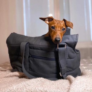 Hvor, sac transport chien chat gris s
