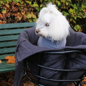 Hvor, sac transport chien chat gris s