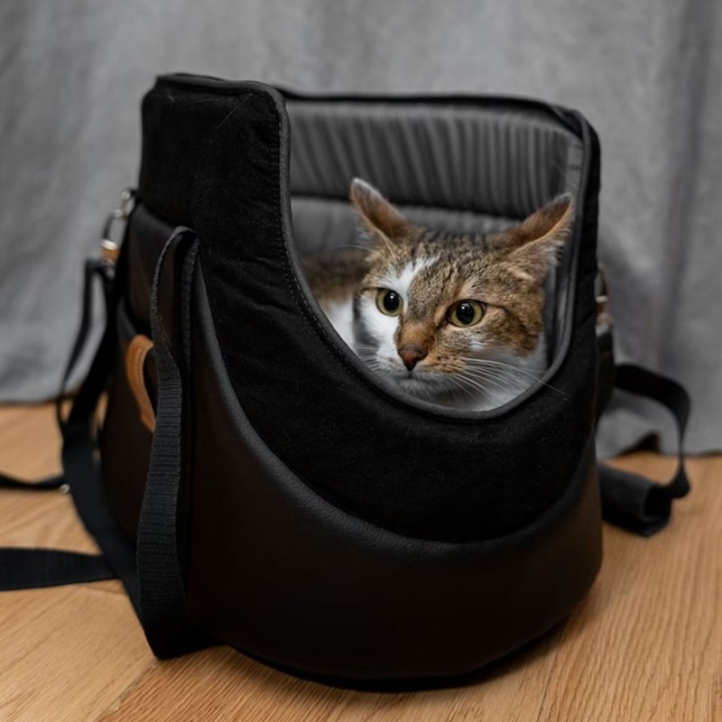 Vapaa, sac transport chien chat noir s