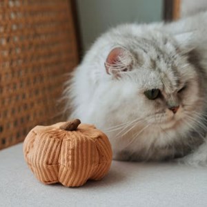 K veggie, set 2 jouets pour chat chien