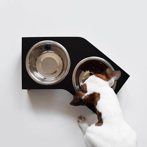 Liqui, gamelle surélevée en métal noir s