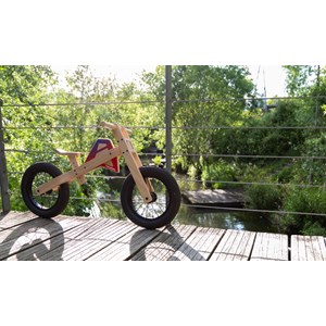 2 en 1 bascule & draisienne originale