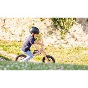 2 en 1 bascule & draisienne charly