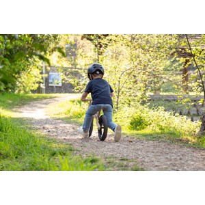 2 en 1 bascule & draisienne betty