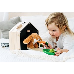 Clapier à lapin avec enclos