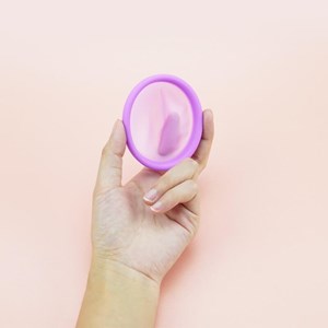 Lot complet disque menstruel - l