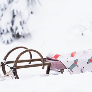 Couverture coton bio gots teckel rose