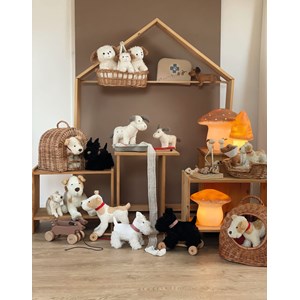 Walter le chien à tirer