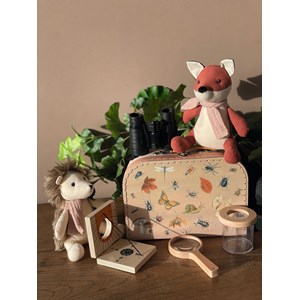 Valise d'explorateur