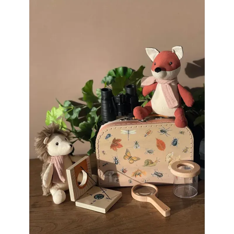 Valise d'explorateur (Egmont) - Image 4