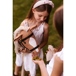 Set d'alimentation pour chevaux