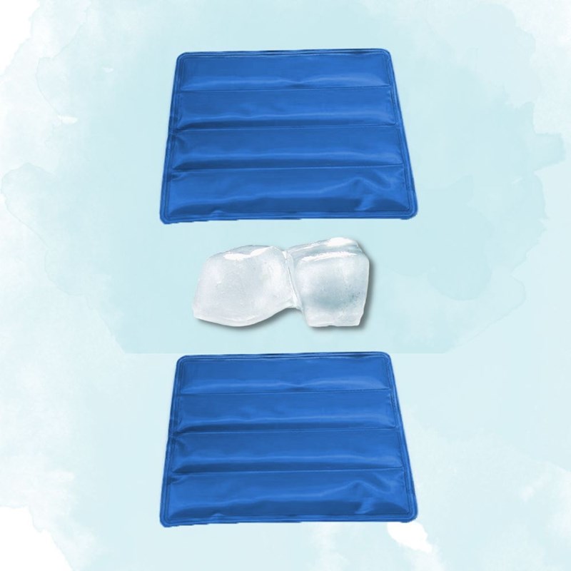 Climsom - Lot de 2 coolpad crystal - bleu