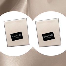 Lot 2 taies en soie climsom silk 50x75