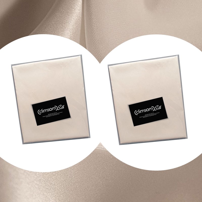 Lot 2 taies en soie climsom silk 50x75