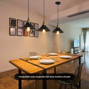 Suspension industrielle led