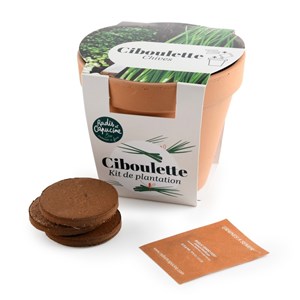 Pot antique - ciboulette bio