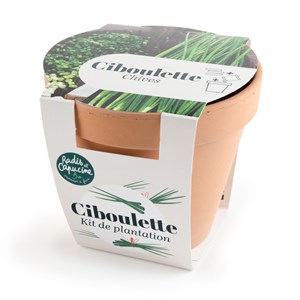 Pot antique - ciboulette bio