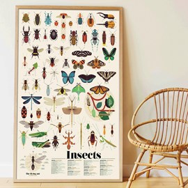 Poster géant 44 stickers insectes