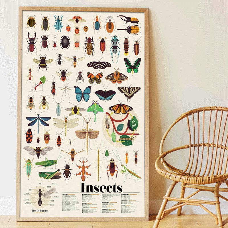 Poster géant 44 stickers insectes