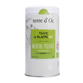 Menthe poivrée - tisane de plante bio
