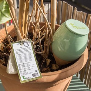 Kit de jardinage