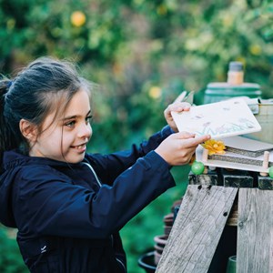 Presse à fleurs en bois