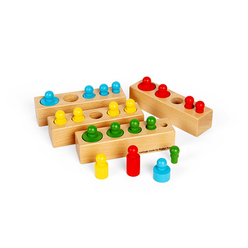 Bigjigs Toys - Puzzle de tri des blocs de chevilles
