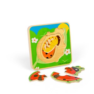 Puzzle cycle de vie - coccinelle