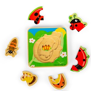 Puzzle cycle de vie - coccinelle