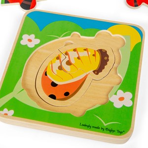 Puzzle cycle de vie - coccinelle