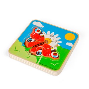 Puzzle cycle de vie - papillon