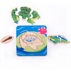 Puzzle du cycle de vie - grenouille