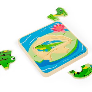 Puzzle du cycle de vie - grenouille