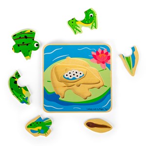 Puzzle du cycle de vie - grenouille